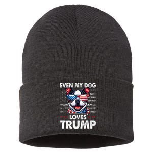 Boston Terrier Even My Dog Loves Trump Funny Sustainable Knit Beanie