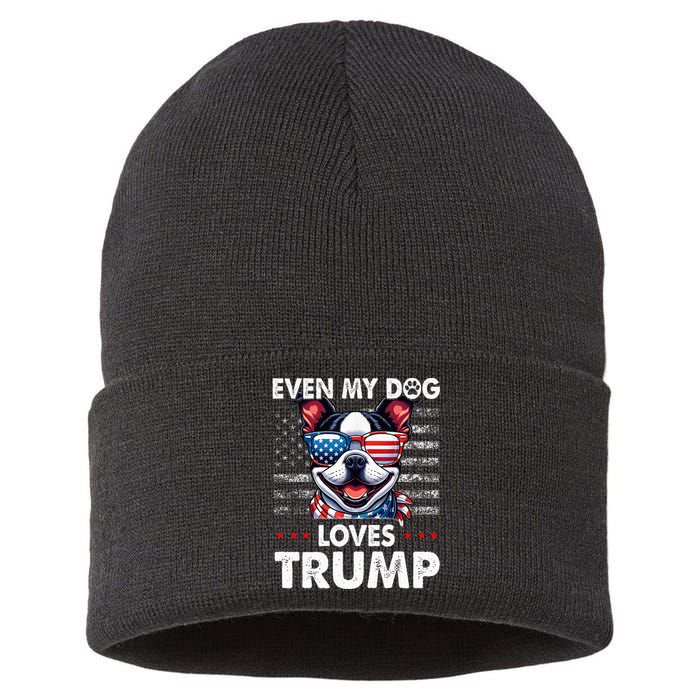 Boston Terrier Even My Dog Loves Trump Funny Sustainable Knit Beanie