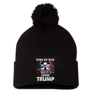 Boston Terrier Even My Dog Loves Trump Funny Pom Pom 12in Knit Beanie