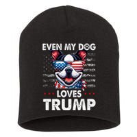 Boston Terrier Even My Dog Loves Trump Funny Short Acrylic Beanie