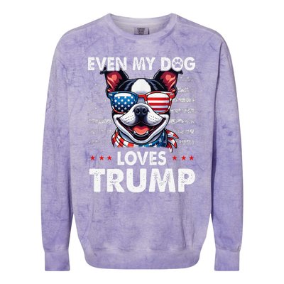 Boston Terrier Even My Dog Loves Trump Funny Colorblast Crewneck Sweatshirt