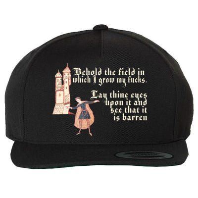 Behold The Field In Which I Grow My Fucks. Funny Meme Wool Snapback Cap