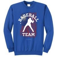 Baseball Taiwan Flag Softball Player Baseball Gift Tall Sweatshirt