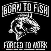 Born To Fish But Forced To Work Funny Fishing Wool Snapback Cap