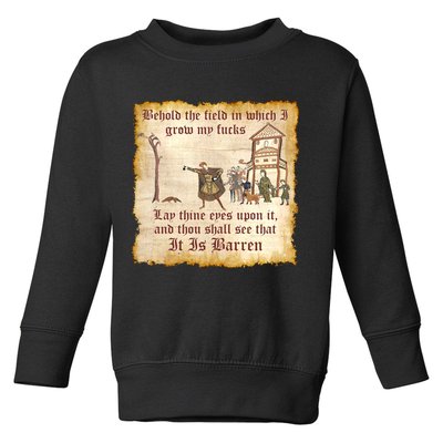 Behold The Field Medieval Dank Meme Toddler Sweatshirt