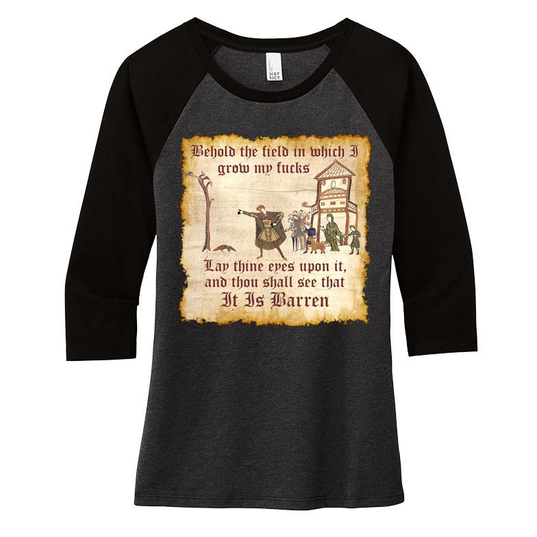 Behold The Field Medieval Dank Meme Women's Tri-Blend 3/4-Sleeve Raglan Shirt