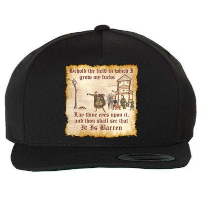 Behold The Field Medieval Dank Meme Wool Snapback Cap