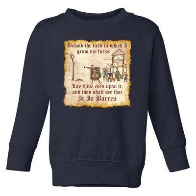 Behold The Field Medieval Dank Meme Toddler Sweatshirt