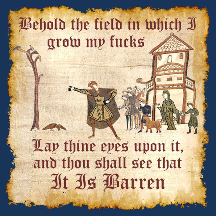 Behold The Field Medieval Dank Meme Infant Baby Jersey Bodysuit