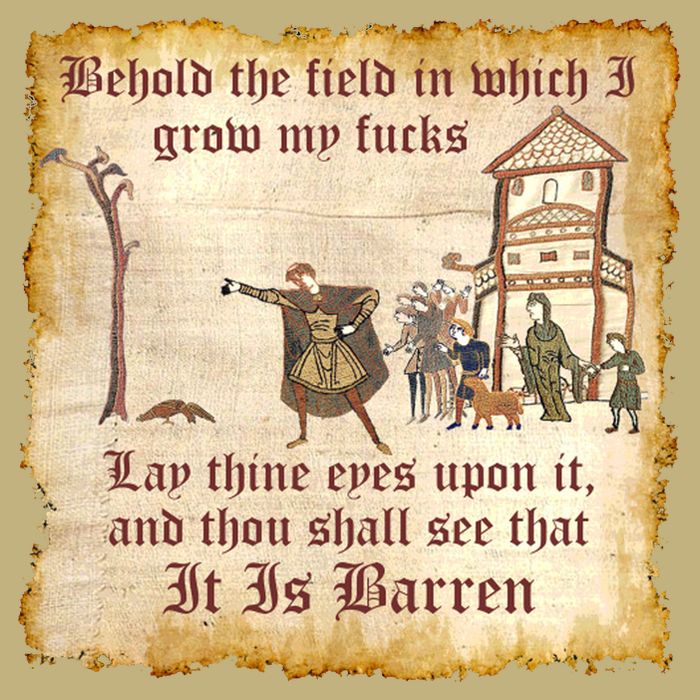 Behold The Field Medieval Dank Meme Hoodie