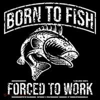 Born To Fish But Forced To Work Funny Fishing Wool Snapback Cap