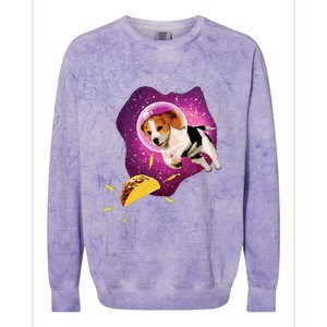 Beagle T Funny Beagle Lover T Beagle Colorblast Crewneck Sweatshirt