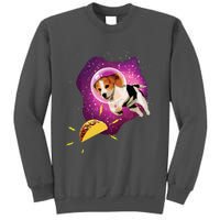 Beagle T Funny Beagle Lover T Beagle Tall Sweatshirt