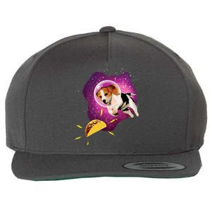 Beagle T Funny Beagle Lover T Beagle Wool Snapback Cap