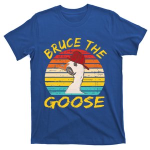 Bruce The Goose Funny Silly Goose T-Shirt