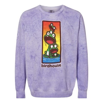 Birdhouse Tony Hawk Bird House Hook Ups Skate Brand Cartoon Hookups Hook Colorblast Crewneck Sweatshirt