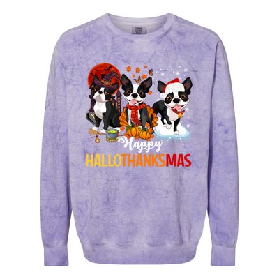 Boston Terrier Hallothanksmas Halloween Thanksgiving Xmas Cute Gift Colorblast Crewneck Sweatshirt