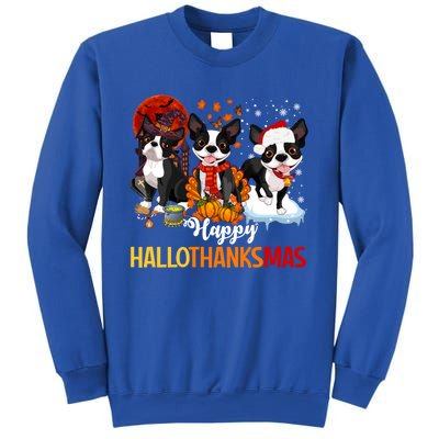 Boston Terrier Hallothanksmas Halloween Thanksgiving Xmas Cute Gift Sweatshirt