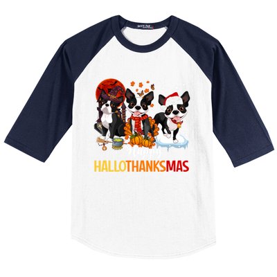 Boston Terrier Hallothanksmas Halloween Thanksgiving Xmas Cute Gift Baseball Sleeve Shirt