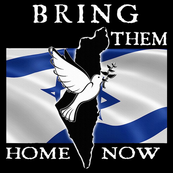 Bring Them Home Now Stand With Israel America Flag Patriotic  Bucket Hat