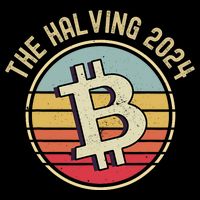 Bitcoin The Halving 2024 To The Moon 7-Panel Snapback Hat