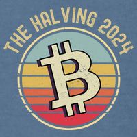 Bitcoin The Halving 2024 To The Moon Garment-Dyed Sweatshirt