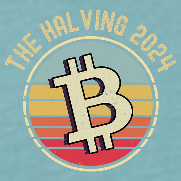 Bitcoin The Halving 2024 To The Moon Sueded Cloud Jersey T-Shirt