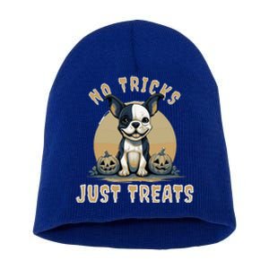 Boston Terrier Halloween No Tricks Just Treats Gift Short Acrylic Beanie