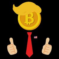 Bitcoin Trump Hair Cryptocurrency President Trump 45 47 Maga Backpack