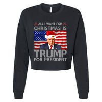 Banyan Tree Lahaina Maui Hawaii  Cropped Pullover Crew