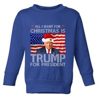 Banyan Tree Lahaina Maui Hawaii  Toddler Sweatshirt