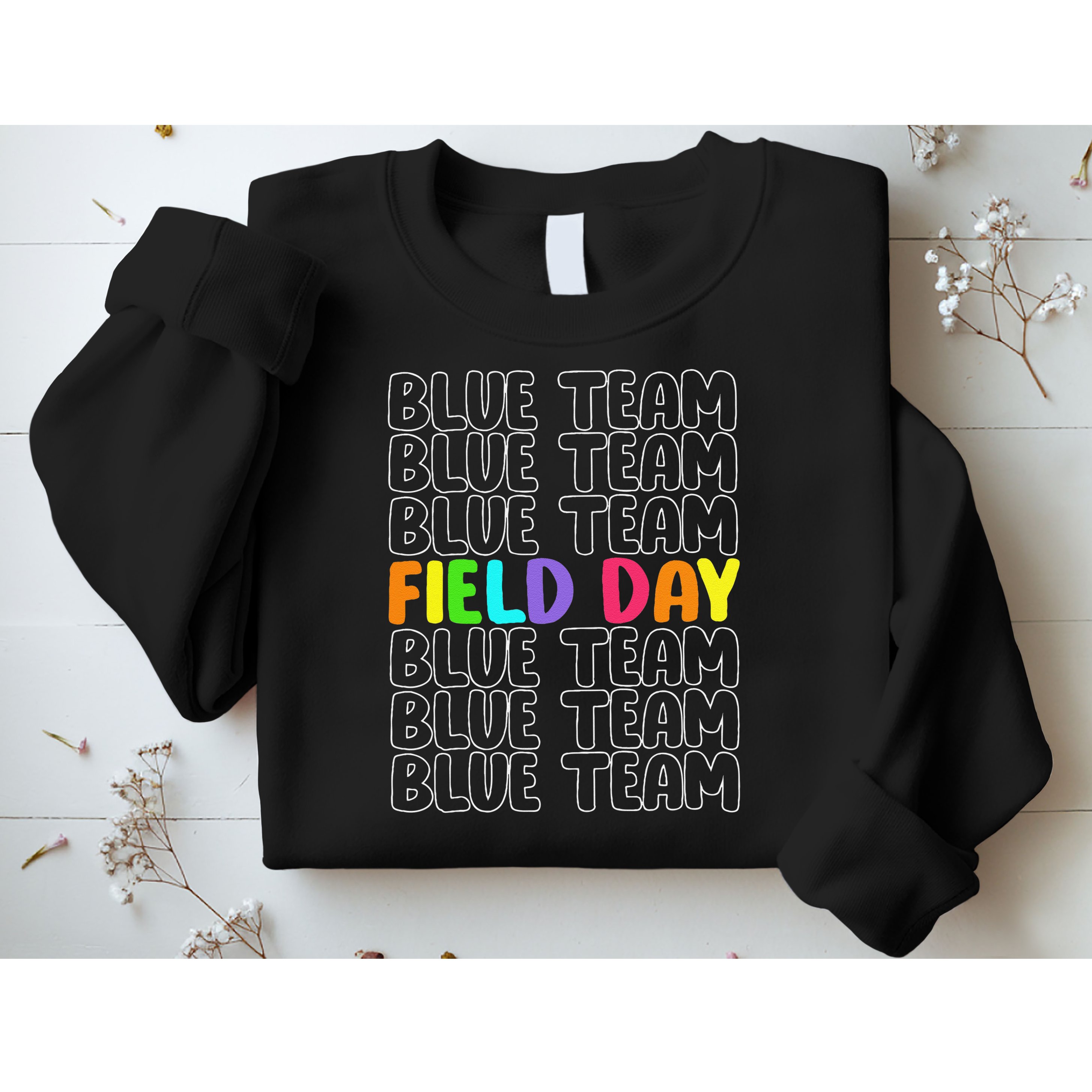 Blue Team Let The Games Begin 2025 Field Day Spirit Squad Sweatshirt