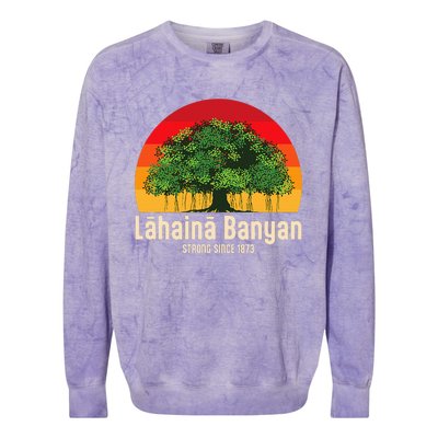 Banyan Tree Lahaina Maui Hawaii Colorblast Crewneck Sweatshirt