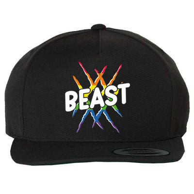 Beast Tiger Lion Claw Funny Lgbtq Awareness Rainbow Pride Gift Wool Snapback Cap