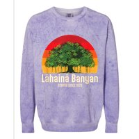 Banyan Tree Lahaina Maui Hawaii Colorblast Crewneck Sweatshirt