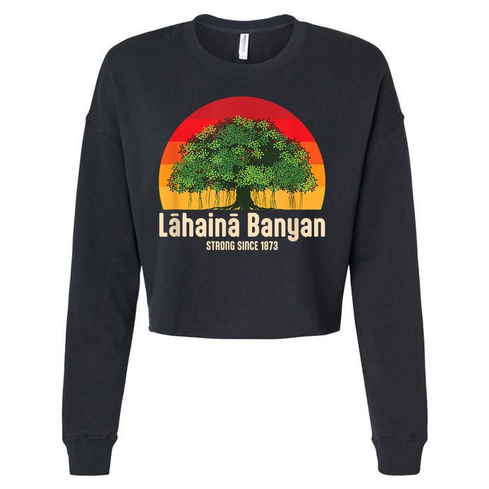 Banyan Tree Lahaina Maui Hawaii Cropped Pullover Crew