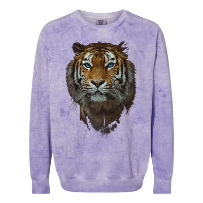 Bengal Tiger Meaningful Gift Endangered Wildlife Lover Big Cat Gift Colorblast Crewneck Sweatshirt