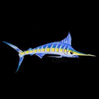 Bevel Tuna Marlin Baby Bodysuit