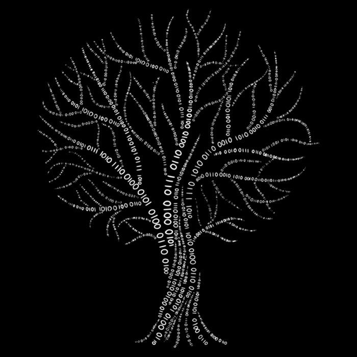 Binary Tree Nerdy Computer Coding Funny Programmer Gift Women's Crop Top Tee