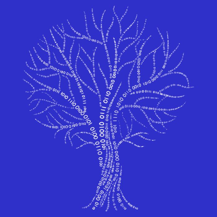 Binary Tree Nerdy Computer Coding Funny Programmer Gift Women's Racerback Tank