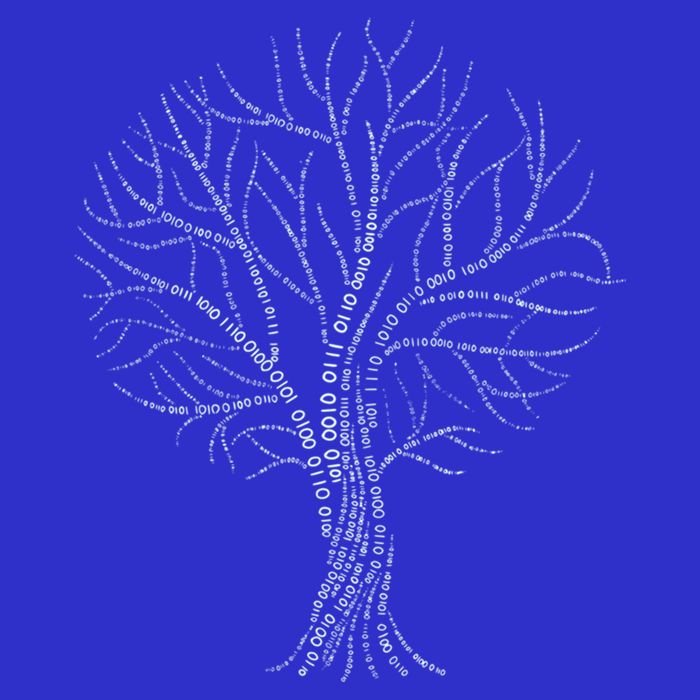 Binary Tree Nerdy Computer Coding Funny Programmer Gift Softstyle Adult Sport Polo