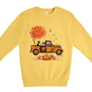 Boston Terrier Pumpkins Truck Autumn Leaf Fall thanksgiving Premium Crewneck Sweatshirt