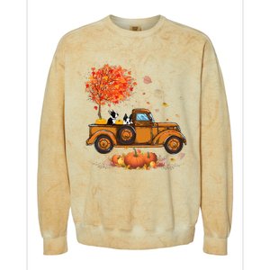 Boston Terrier Pumpkins Truck Autumn Leaf Fall thanksgiving Colorblast Crewneck Sweatshirt