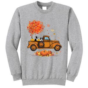 Boston Terrier Pumpkins Truck Autumn Leaf Fall thanksgiving Sweatshirt