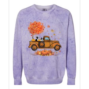 Boston Terrier Pumpkins Truck Autumn Leaf Fall Thanksgiving Colorblast Crewneck Sweatshirt