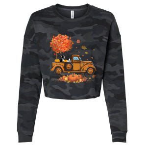 Boston Terrier Pumpkins Truck Autumn Leaf Fall Thanksgiving Cropped Pullover Crew