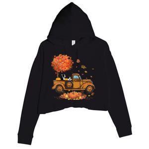 Boston Terrier Pumpkins Truck Autumn Leaf Fall Thanksgiving Crop Fleece Hoodie