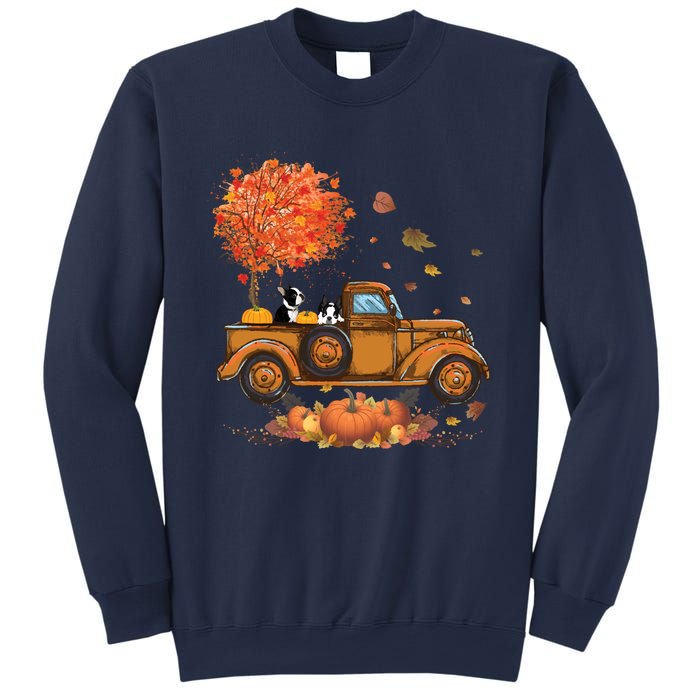 Boston Terrier Pumpkins Truck Autumn Leaf Fall Thanksgiving Sweatshirt