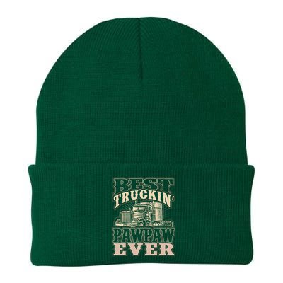 Best Truckin Pawpaw Ever Vinatge Trucker Fathers Day Gift Knit Cap Winter Beanie