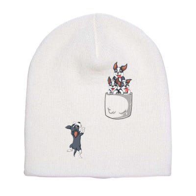 Boston Terrier Pocket Short Acrylic Beanie